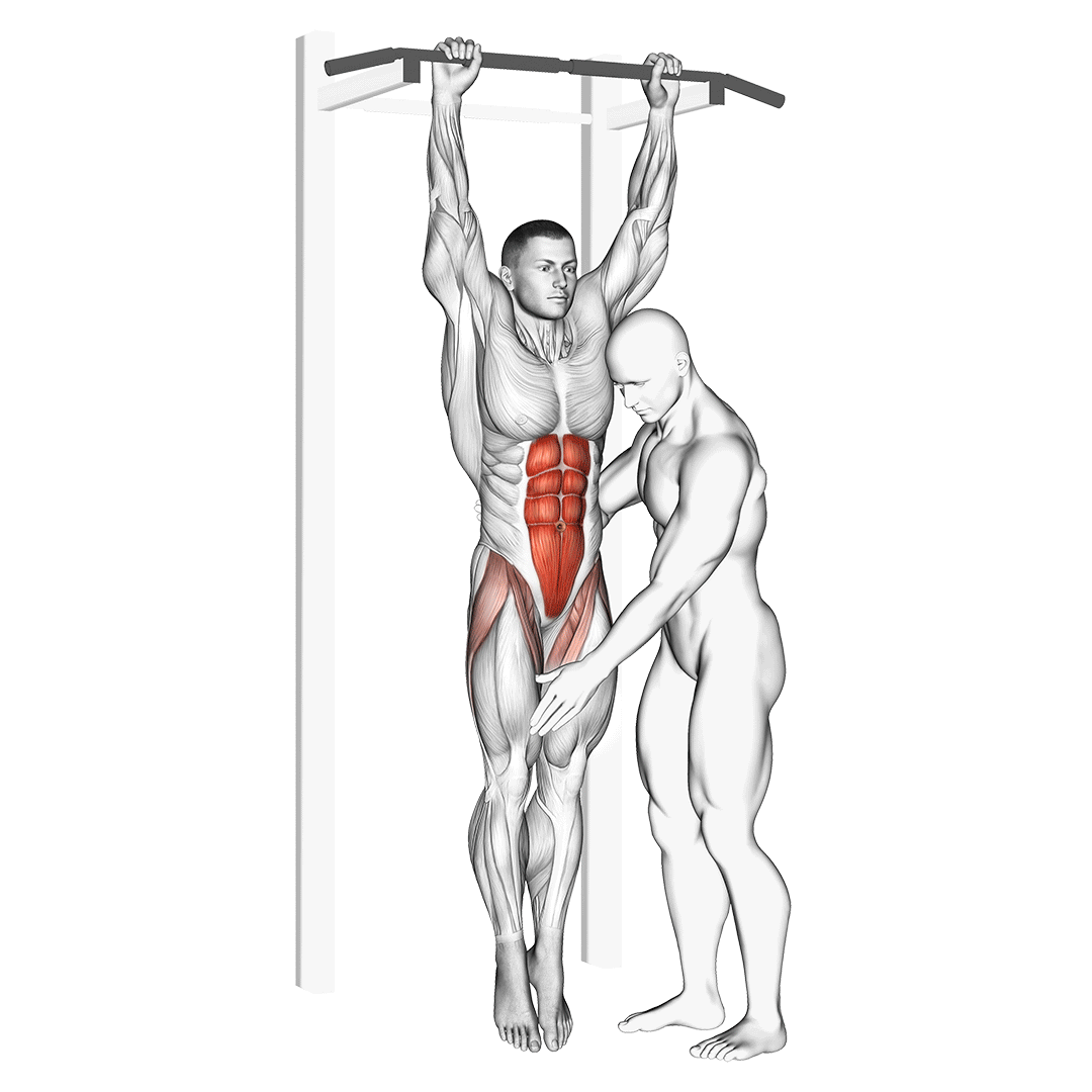 assisted hanging knee raise