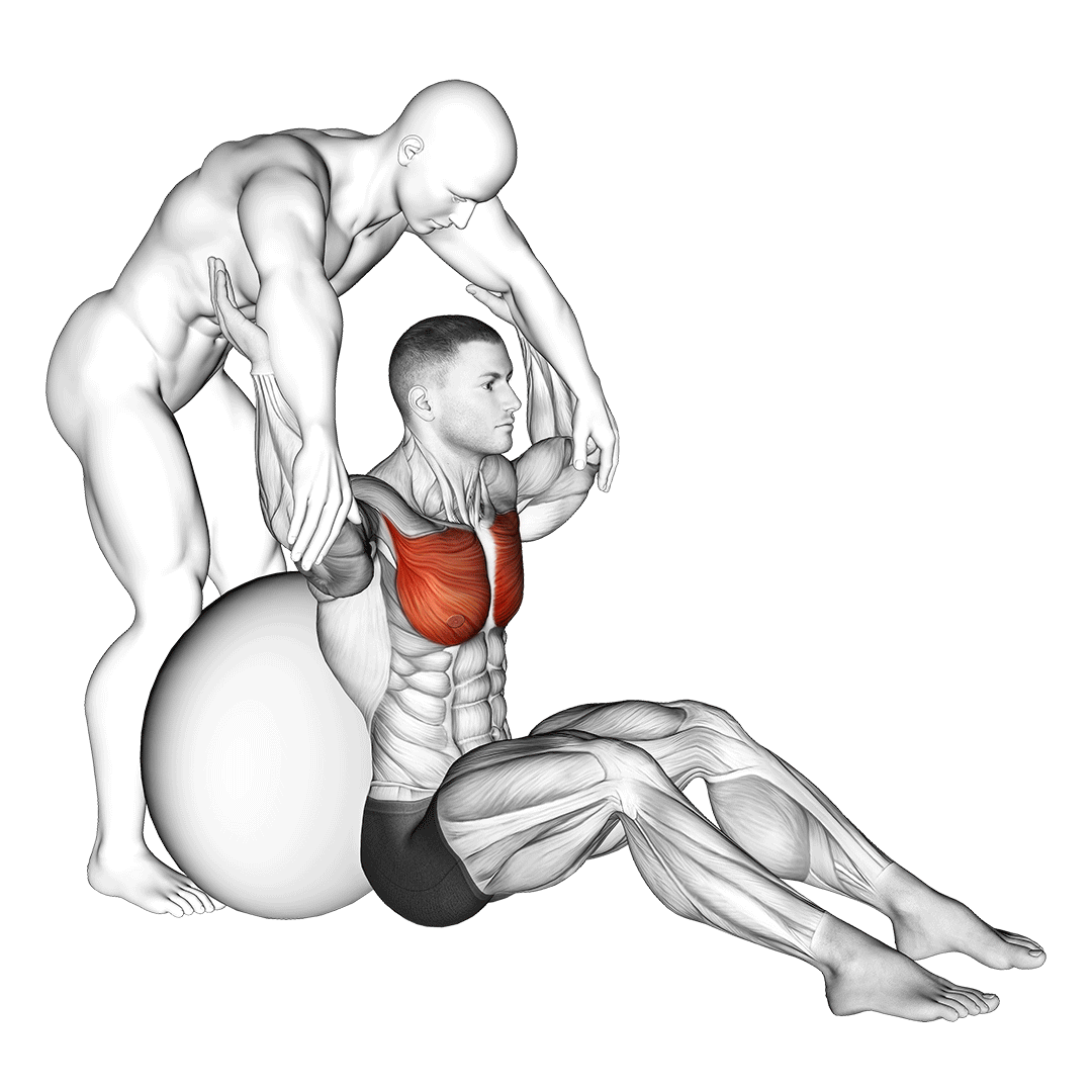 assisted seated pectoralis major stretch with stability ball