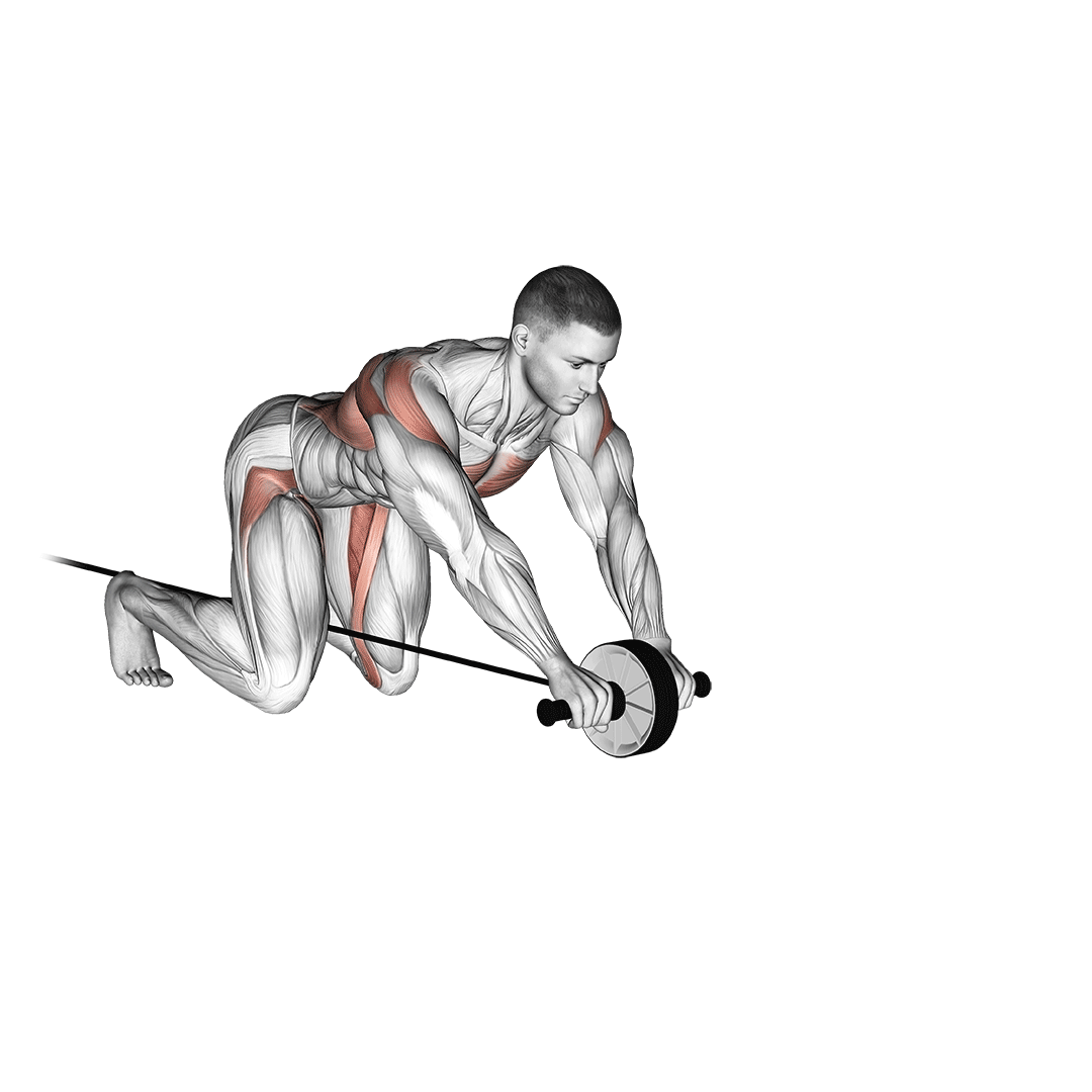 band assisted wheel rollerout