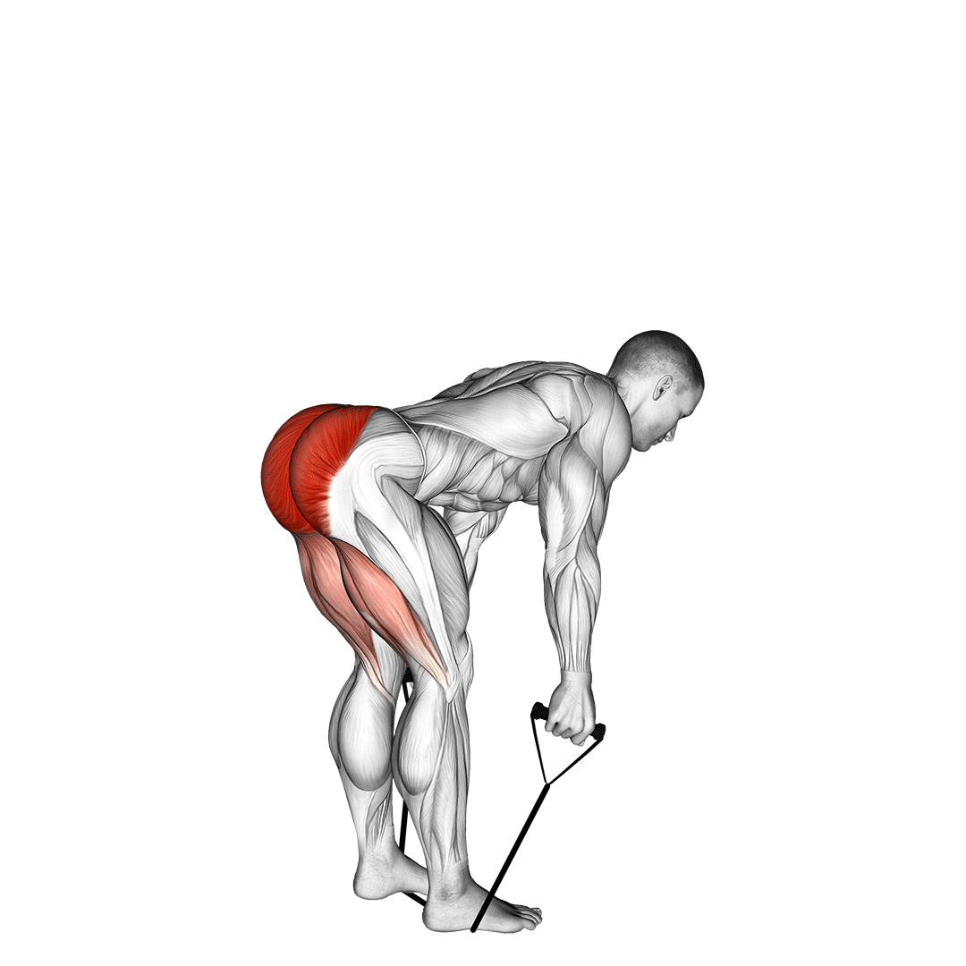 band straight back stiff leg deadlift