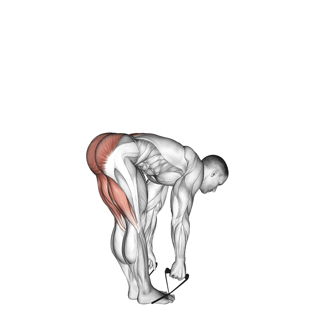 band straight leg deadlift