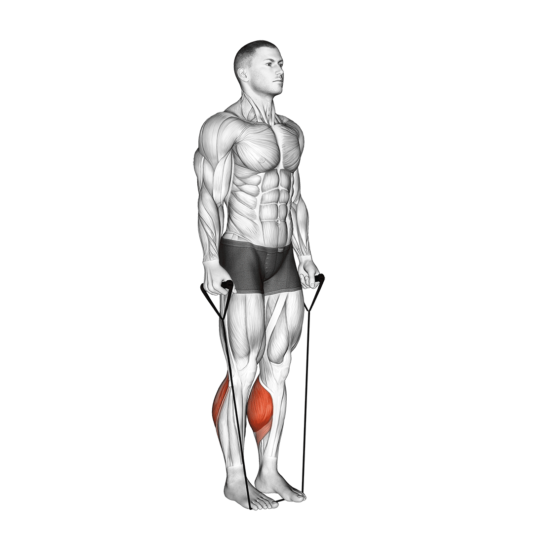 band two legs calf raise - (band under both legs) v. 2