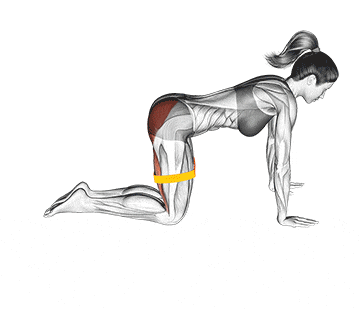Banded Glute Kickback