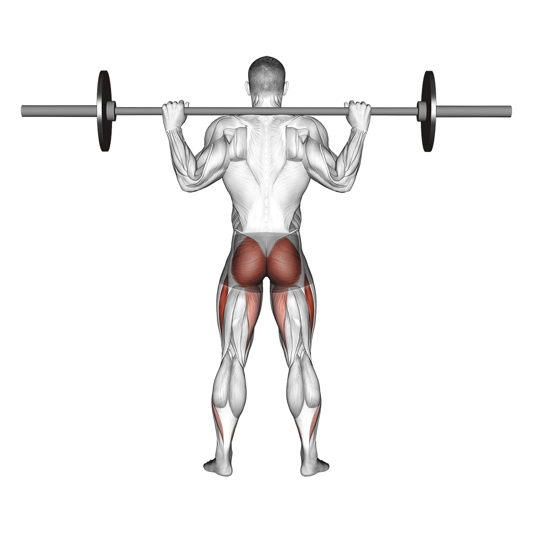 barbell full squat (back pov)