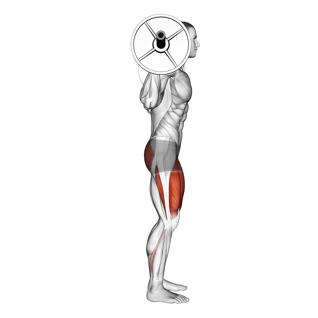barbell full squat (side pov)