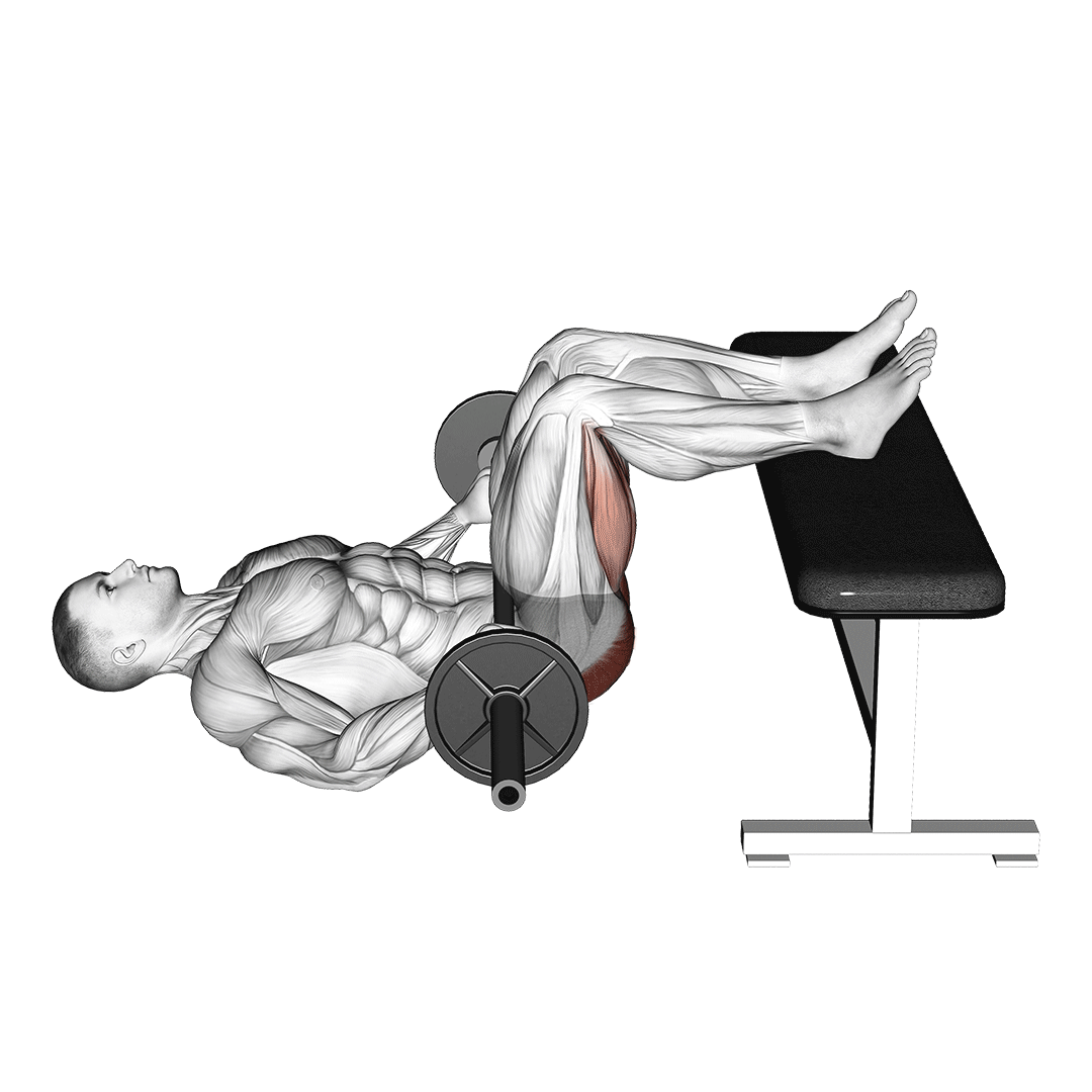 barbell glute bridge two legs on bench