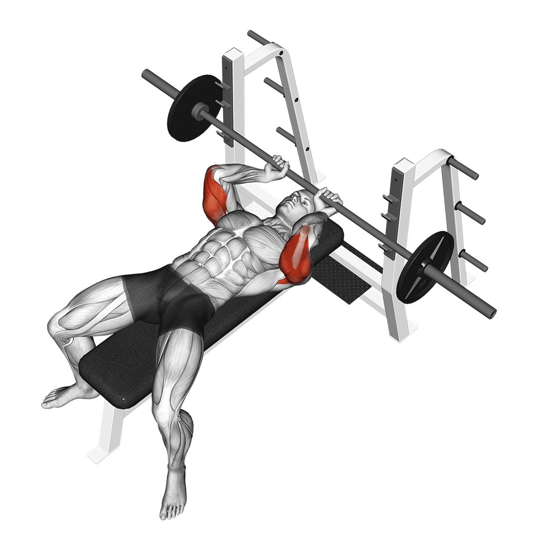 barbell lying extension