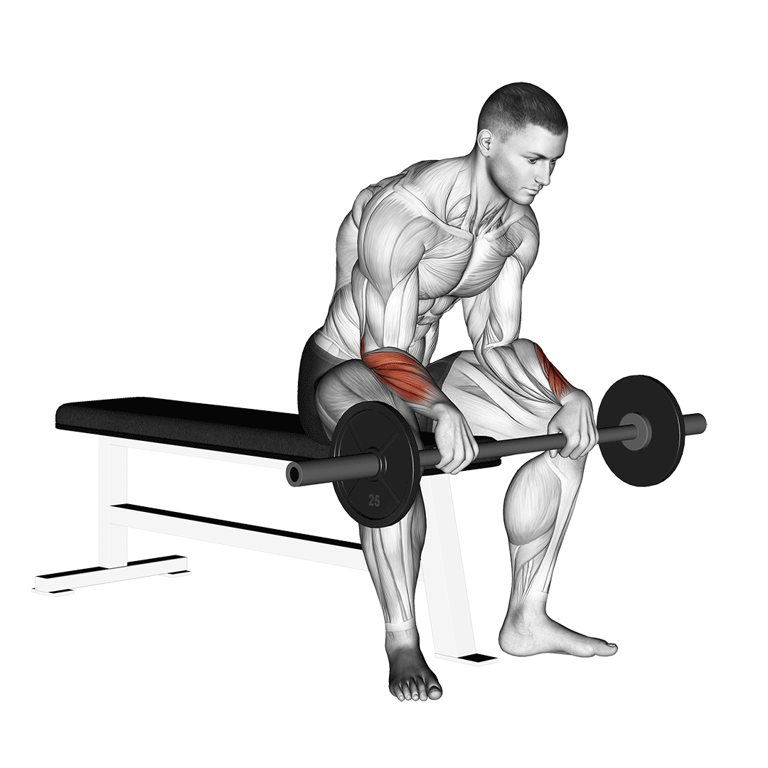 barbell reverse wrist curl v. 2