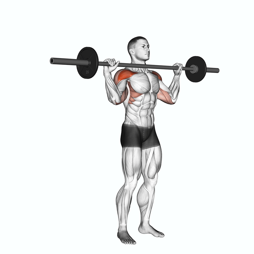 barbell standing bradford press