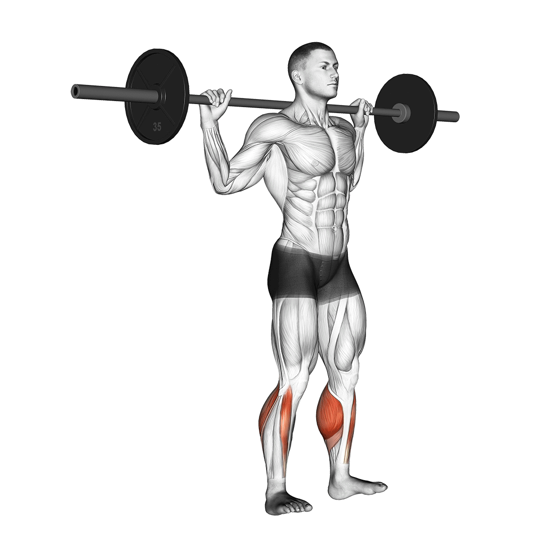 barbell standing rocking leg calf raise