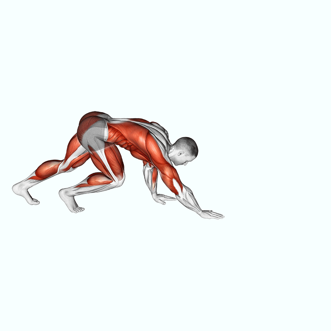 bear crawl