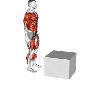 Box Jumps