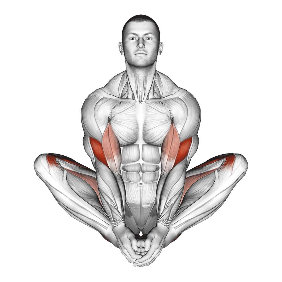butterfly yoga pose