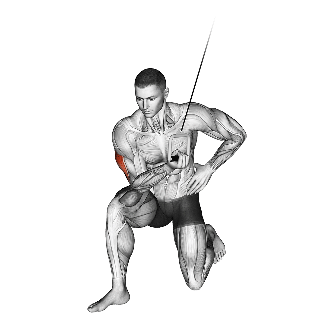 cable concentration extension (on knee)