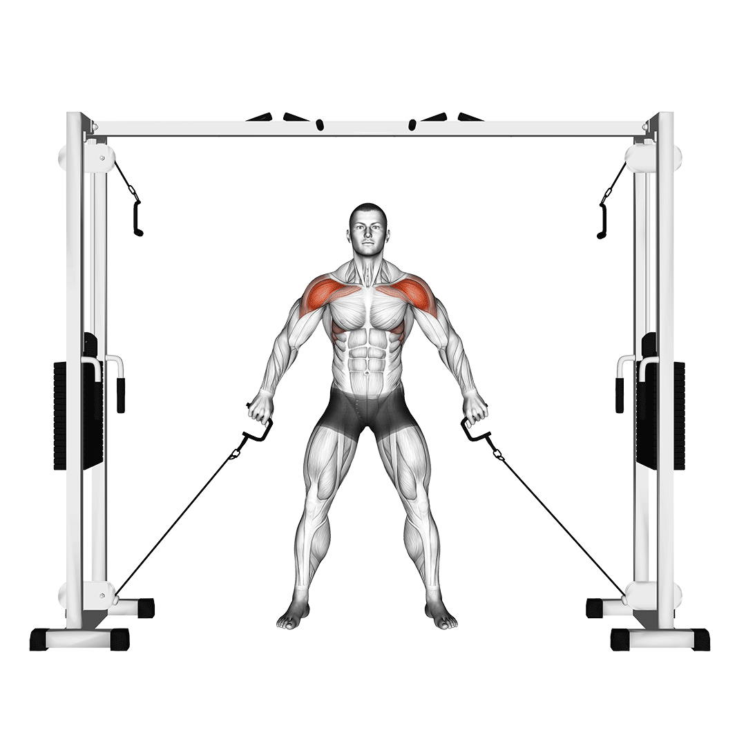 cable front shoulder raise