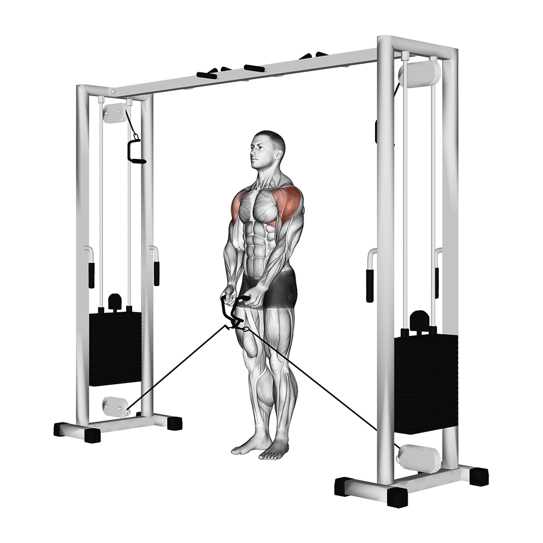 cable lateral raise