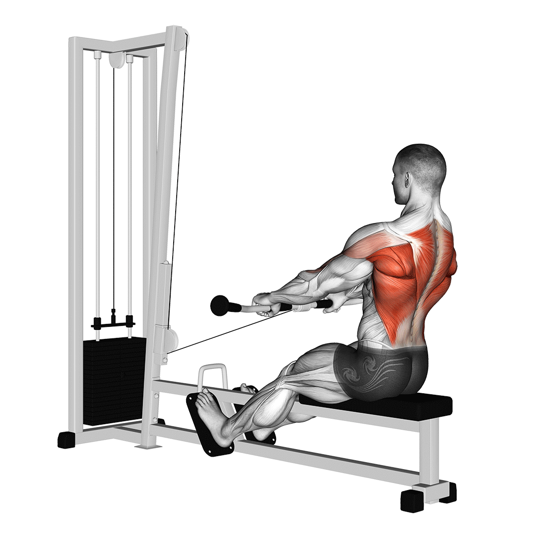 cable low seated row