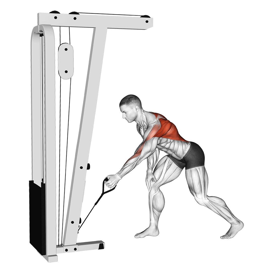 cable one arm bent over row