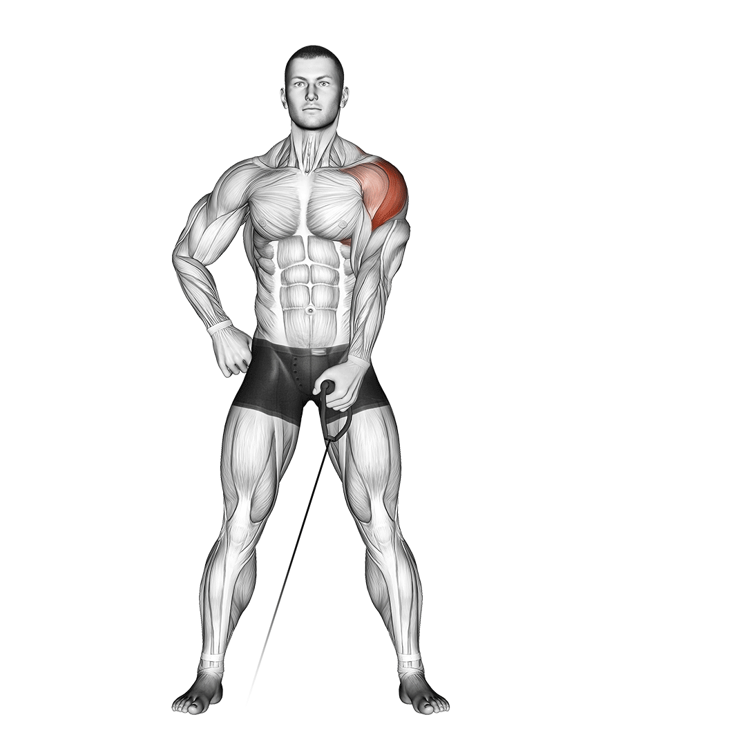 cable one arm lateral raise