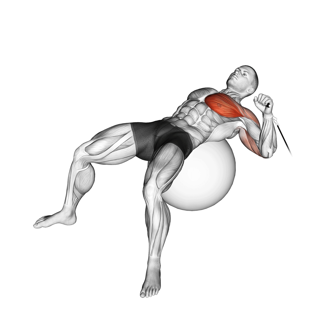 cable one arm press on exercise ball