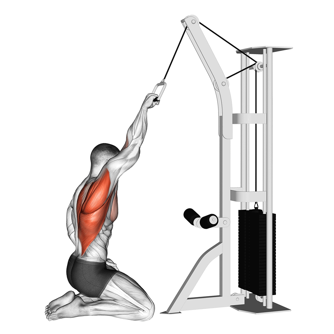 cable one arm straight back high row (kneeling)