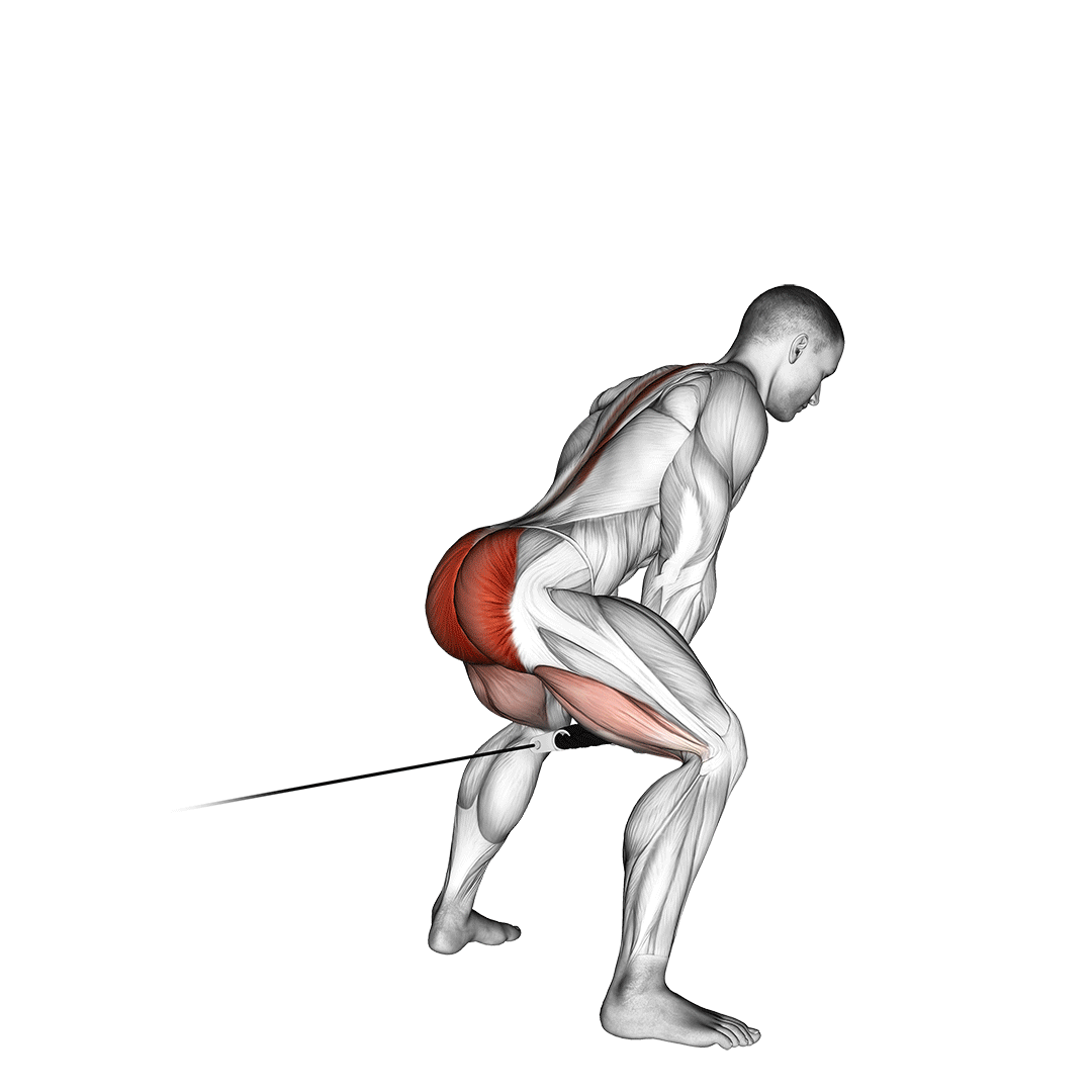 cable pull through (with rope)