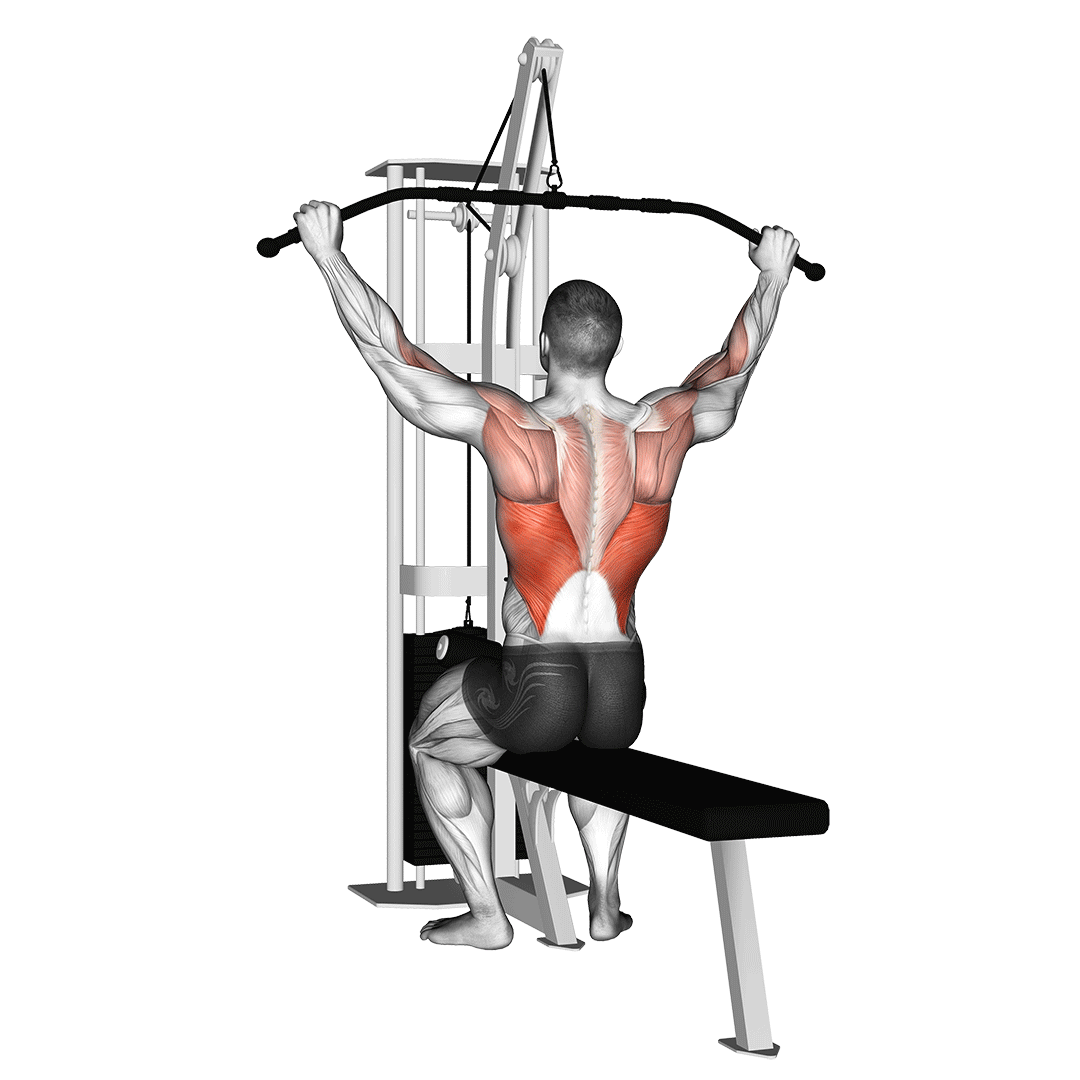 cable pulldown (pro lat bar)