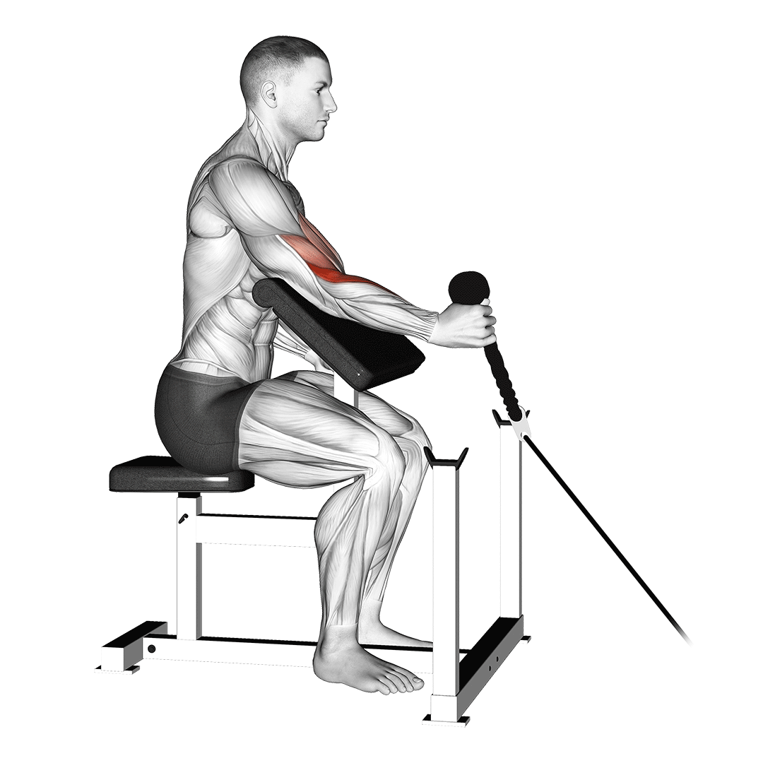 cable rope one arm hammer preacher curl
