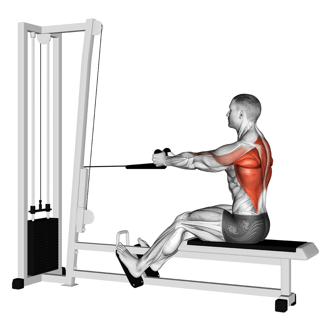 cable rope seated row