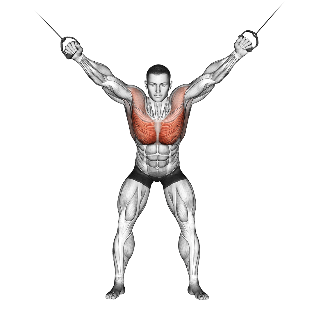 cable standing fly