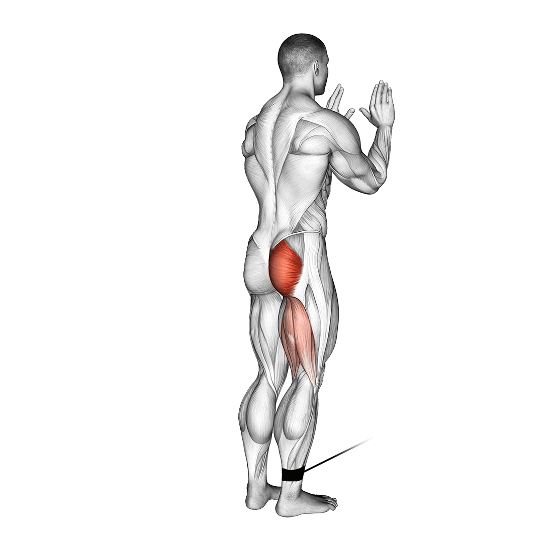 cable standing hip extension