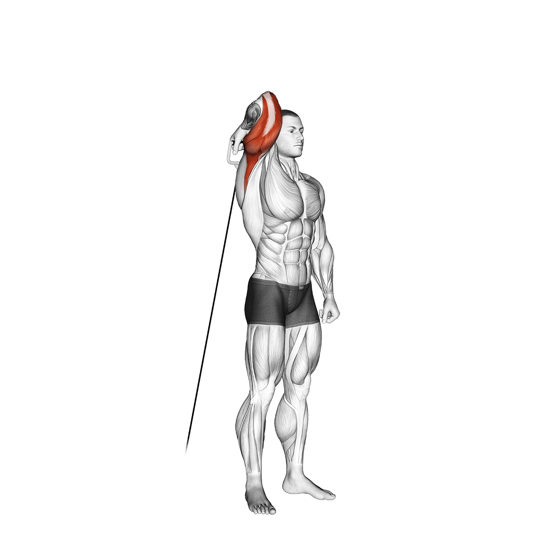 cable standing reverse grip one arm overhead tricep extension
