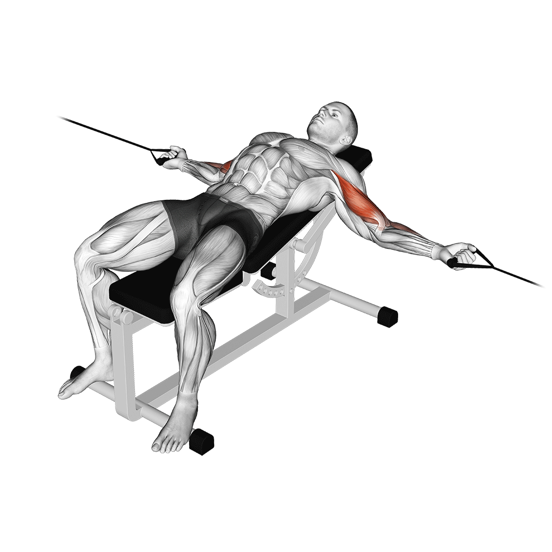 cable two arm curl on incline bench