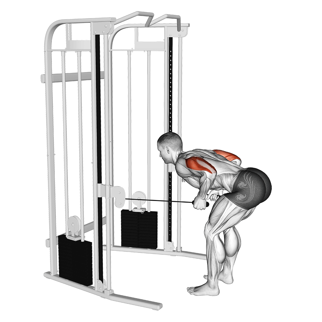 cable two arm tricep kickback
