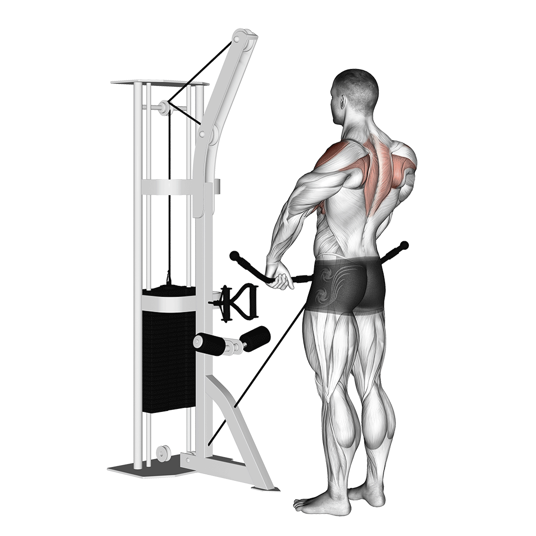 cable upright row