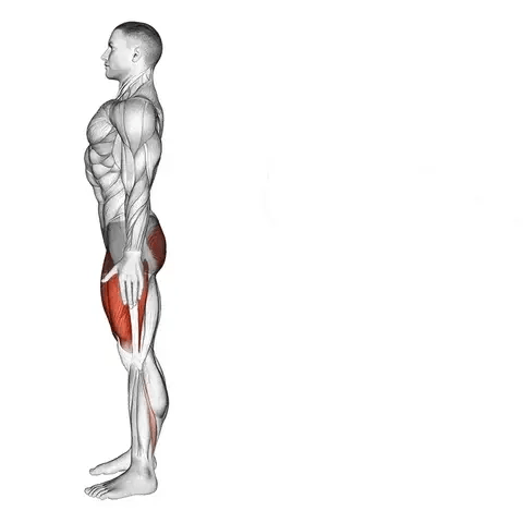 Classic lunge + Curtsey lunge (Super Set)