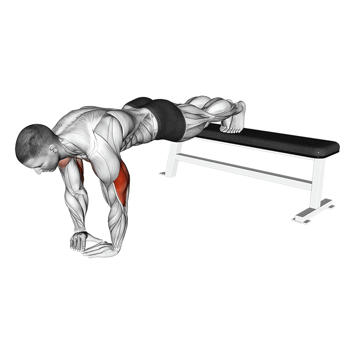 Decline Diamond Push Up
