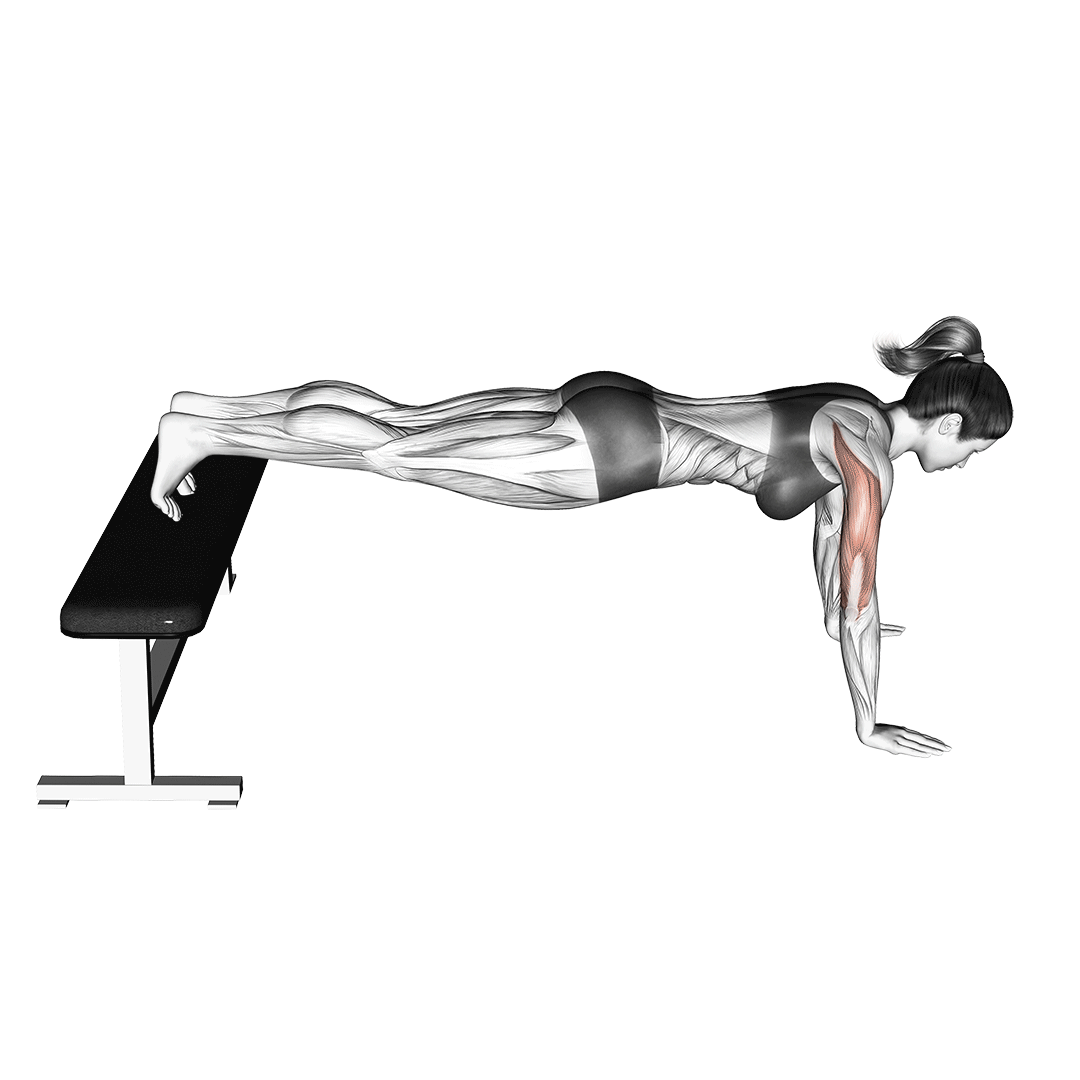 Decline Wide Push Ups