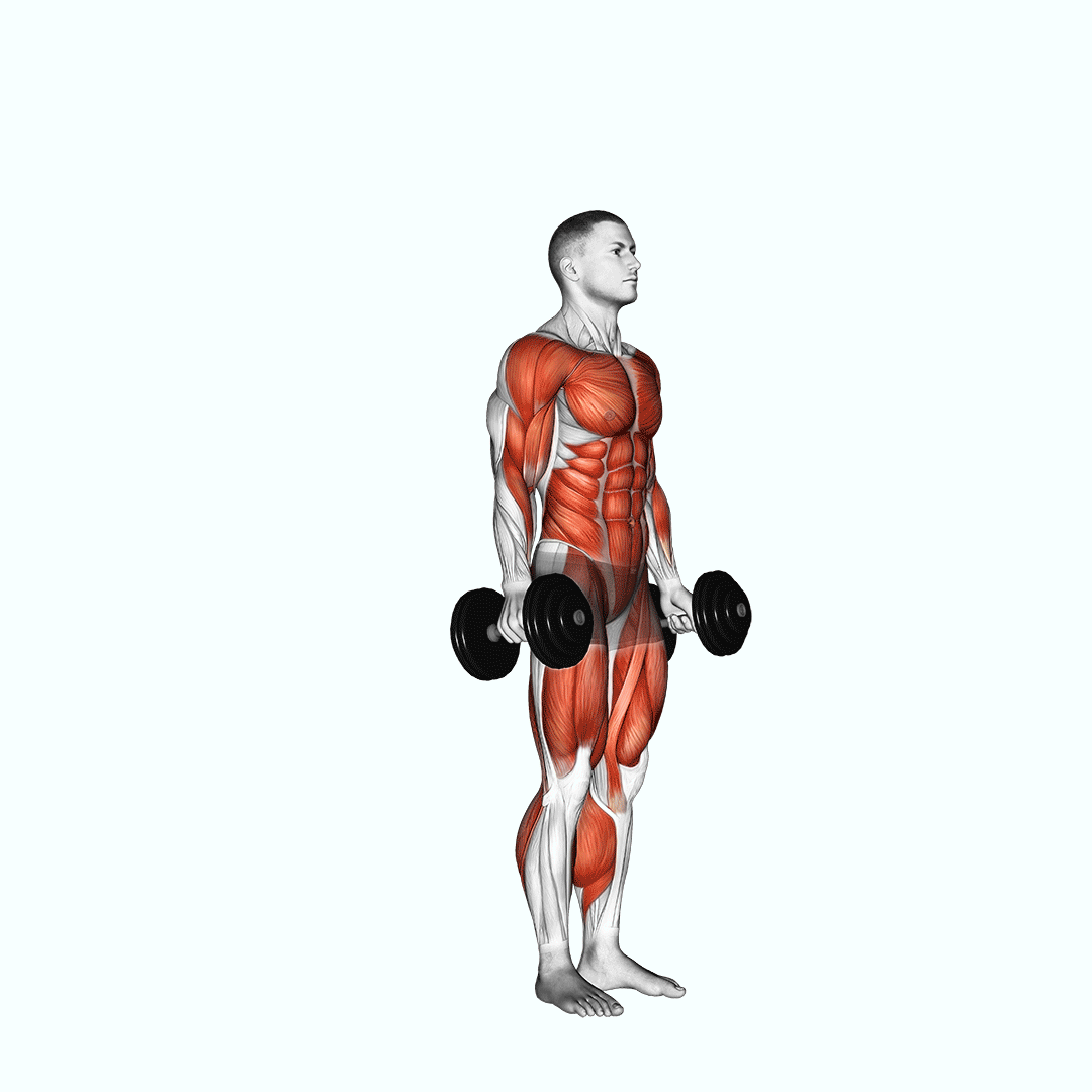 dumbbell burpee