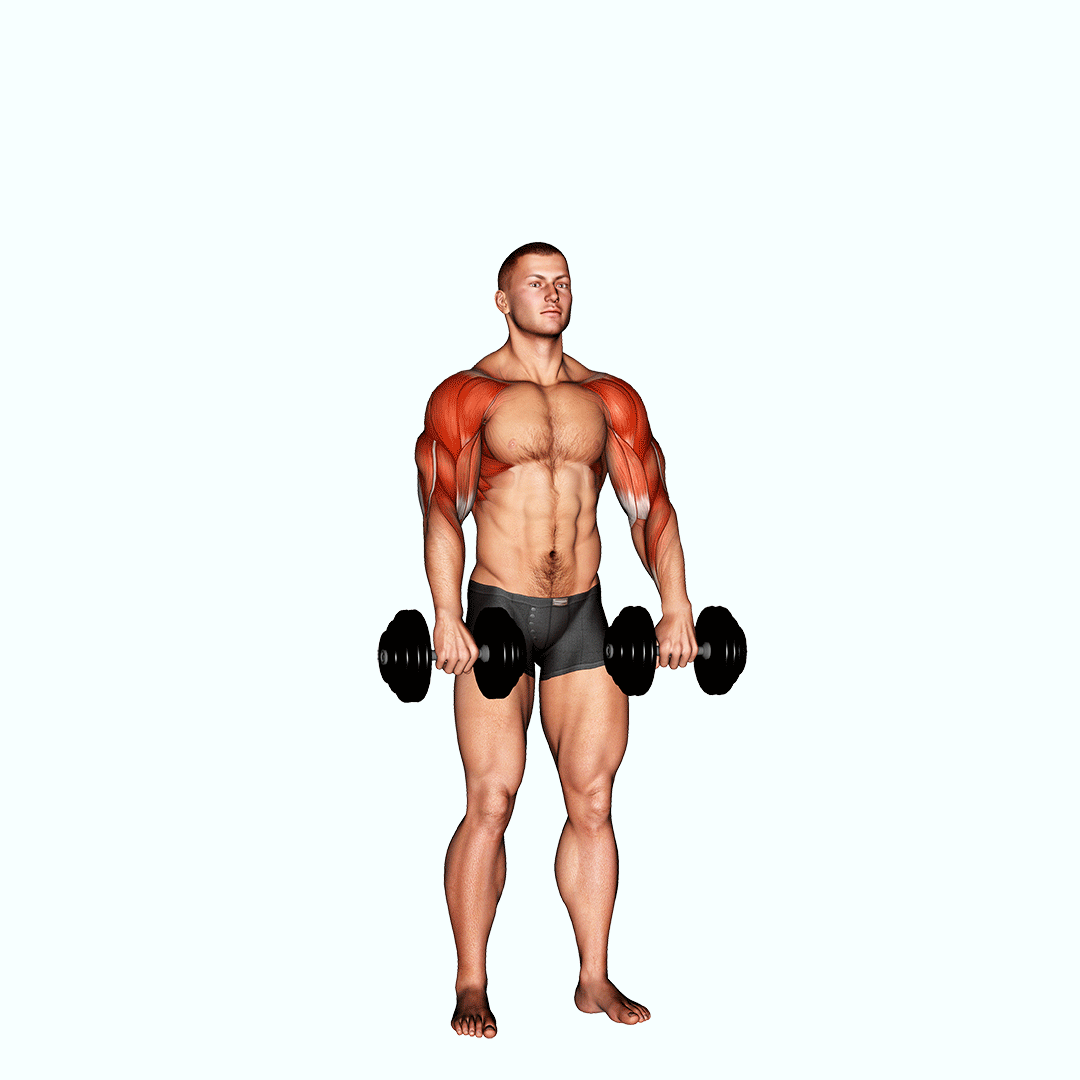 dumbbell cuban press v. 2
