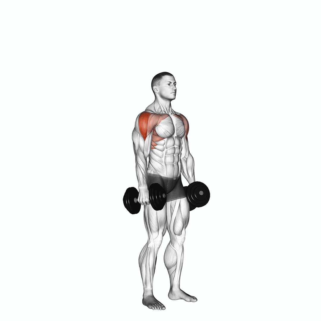 dumbbell cuban press