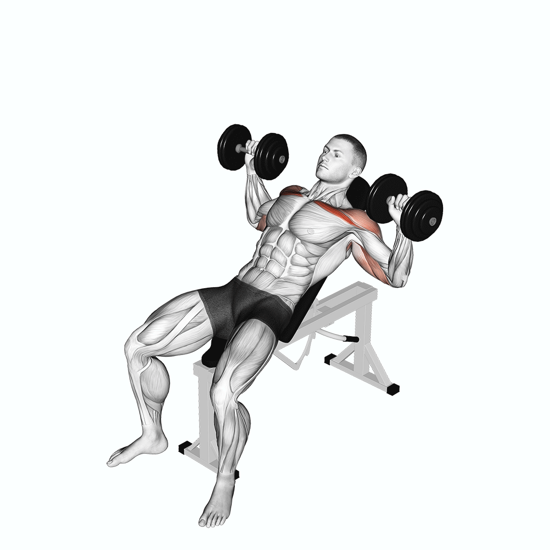 dumbbell incline alternate press