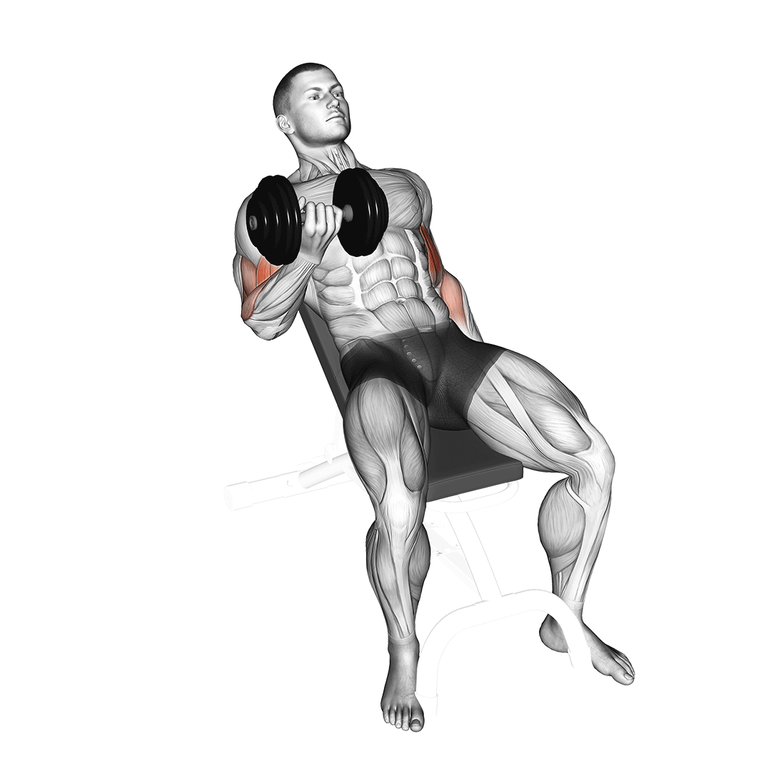 dumbbell incline curl