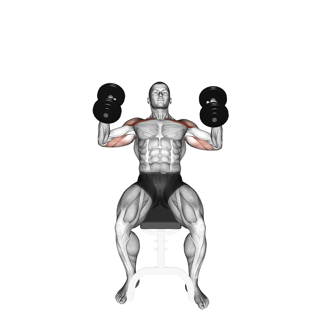 dumbbell incline hammer press