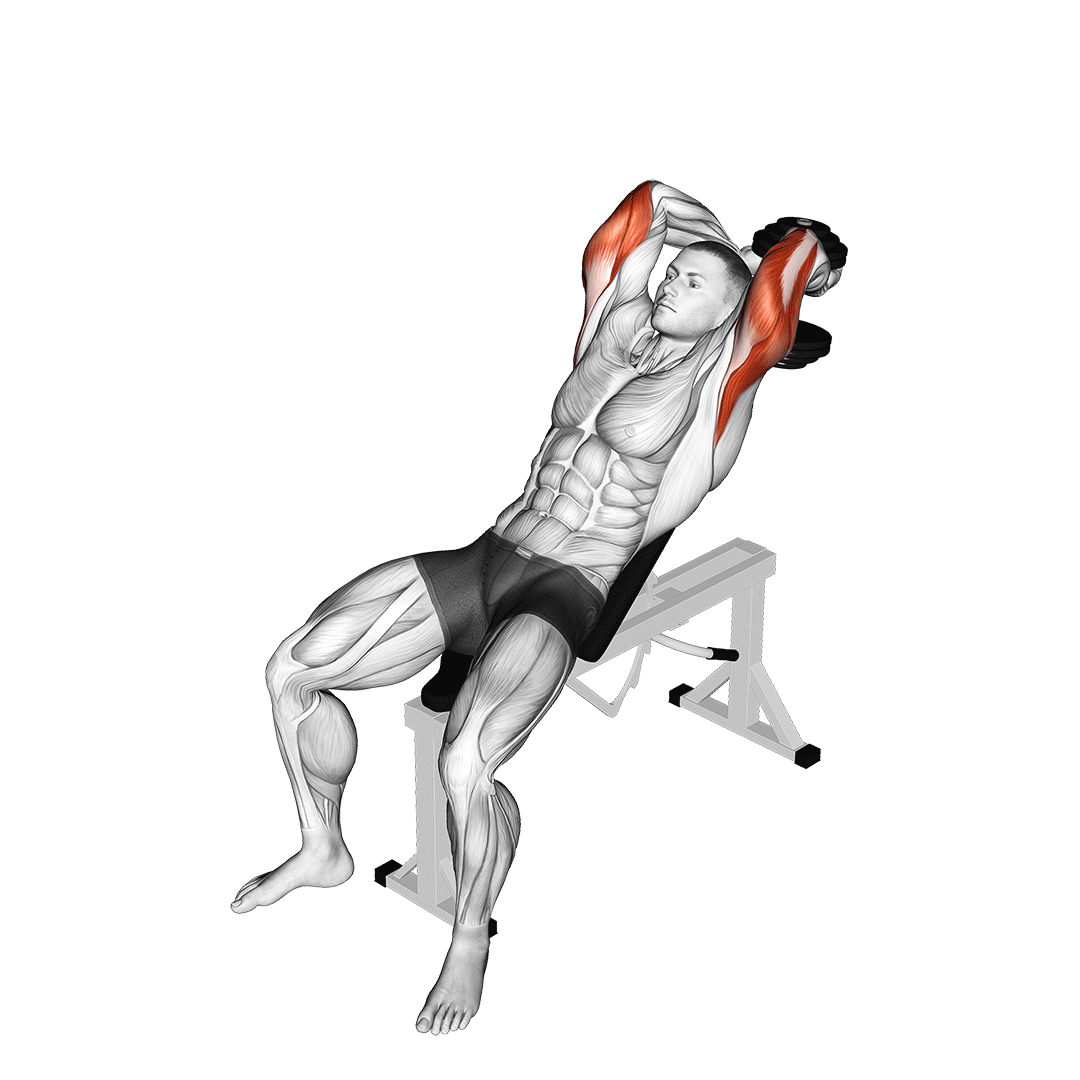 dumbbell incline two arm extension