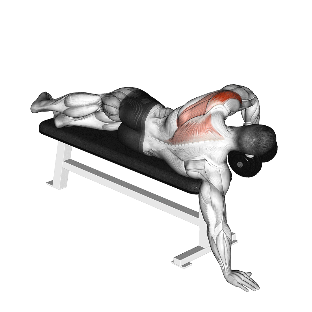 dumbbell lying one arm deltoid rear