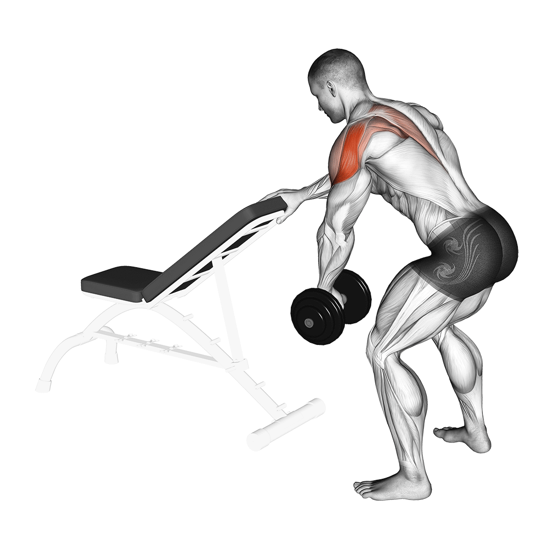 dumbbell one arm reverse fly (with support)