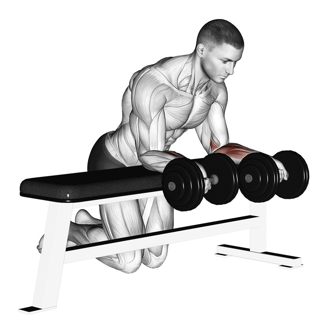 dumbbell over bench reverse wrist curl