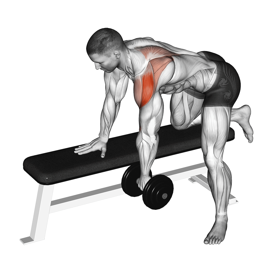 dumbbell rear delt row (shoulder)