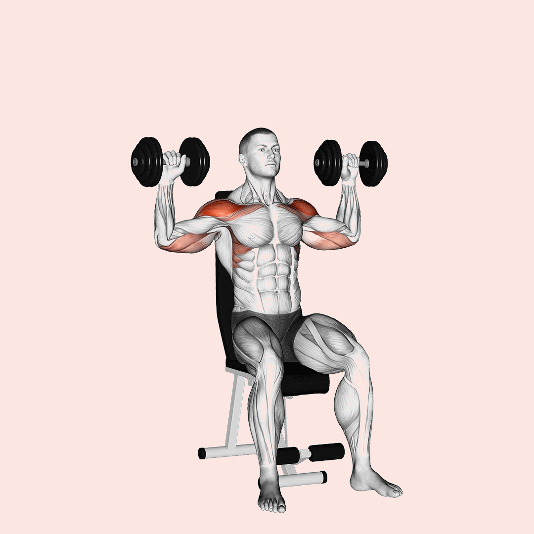 dumbbell seated alternate shoulder